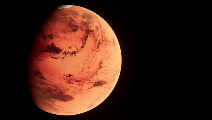 Mars'tan gelen en büyük gök taşı 5,3 milyon dolara satıldı