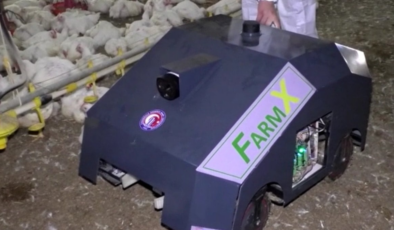 Türk mühendislerden 'akıllı kümes' hamlesi: Salgınlar robotla önlenecek
