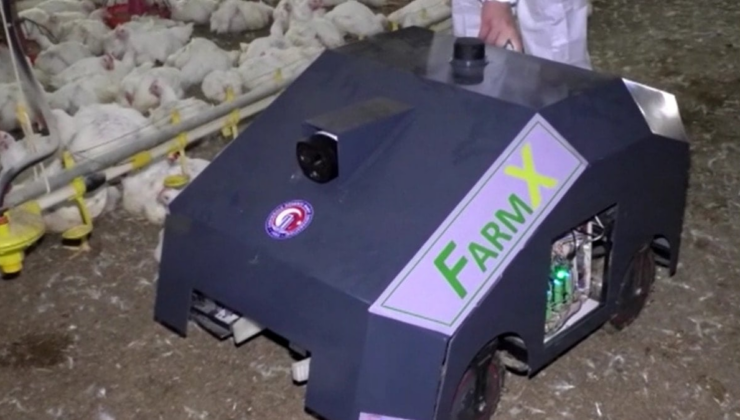 Türk mühendislerden 'akıllı kümes' hamlesi: Salgınlar robotla önlenecek