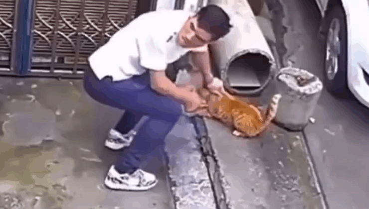 Sevmek için yaklaştığı kediye vahşeti yaşattı
