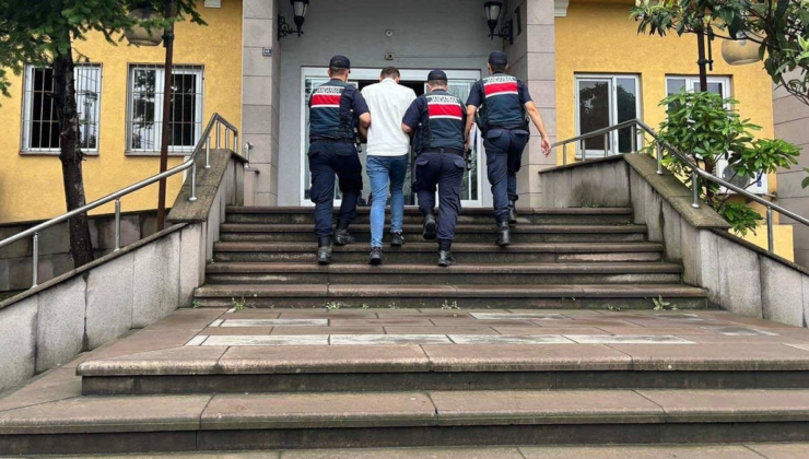 Hopa'da uyuşturucu operasyonu: 1 kişi tutuklandı