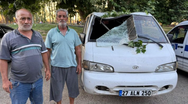 Dev ağaç dalı 11 kişiyi hastanelik etti!