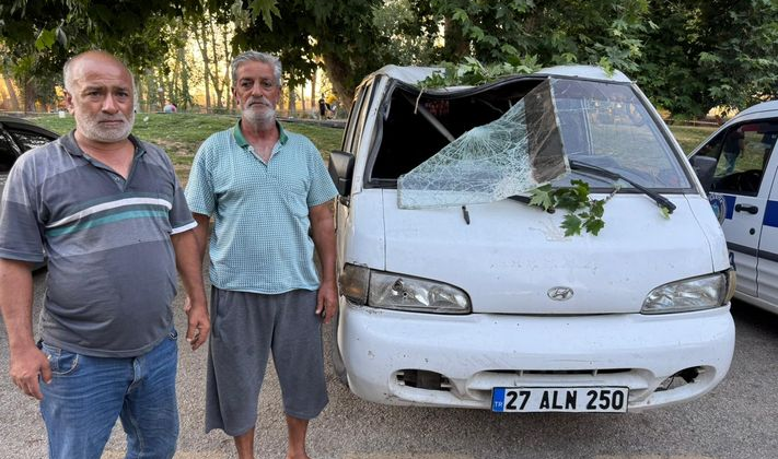 Dev ağaç dalı 11 kişiyi hastanelik etti!