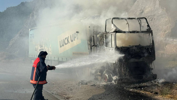 Artvin'de seyir halindeki TIR alev alev yandı
