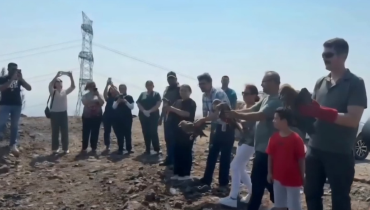 Hatay'da tedavi edilen yabani kuşlar yeniden doğaya kavuştu