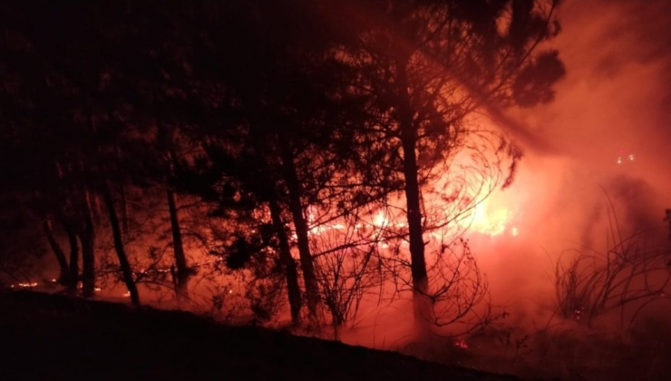 Bolu’da örtü yangını söndürüldü