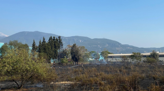 İzmir Bornova’da ot yangını AVM otoparkına sıçradı