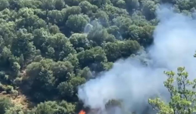 Nazilli'de orman yangını