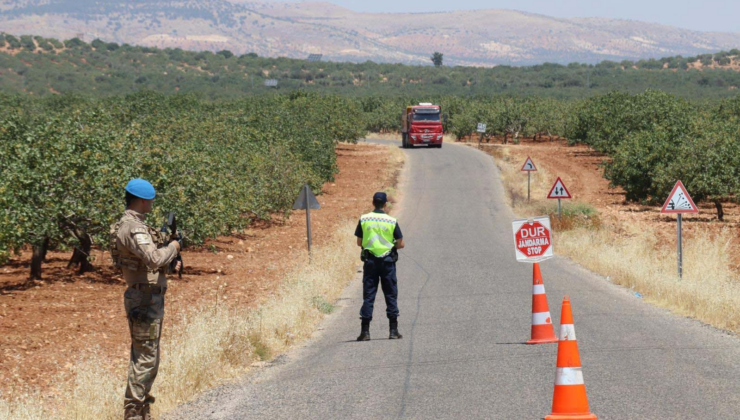 Hasat başladı: Tarladaki mahsul servet değerinde olunca Jandarma gece gündüz başında nöbet tuttu