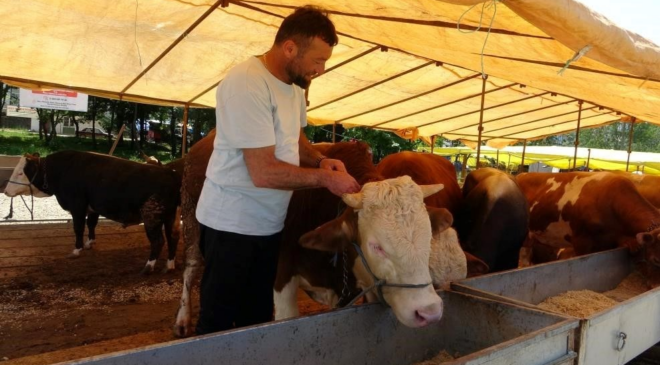 81 ile acil kodlu yazı: Tüm hayvan pazarları kapatıldı