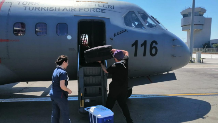 Hava Kuvvetleri uçağı, organ nakli için havalandı