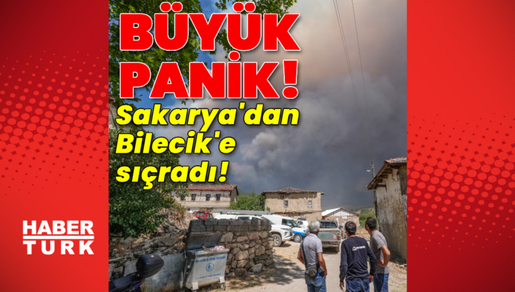 Sakarya'daki yangın Bilecik'e sıçradı!