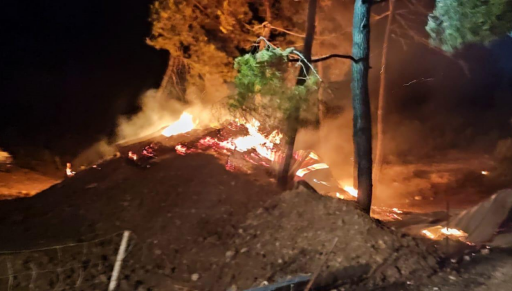 Bilecik'te çiftlikte başlayıp ormanlık alana sıçrayan yangın kontrol altında