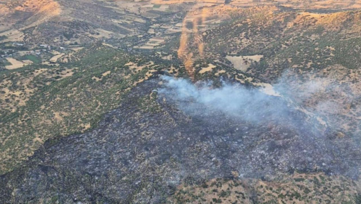 Aydın'daki yangınla ilgili bir kişi gözaltına alındı