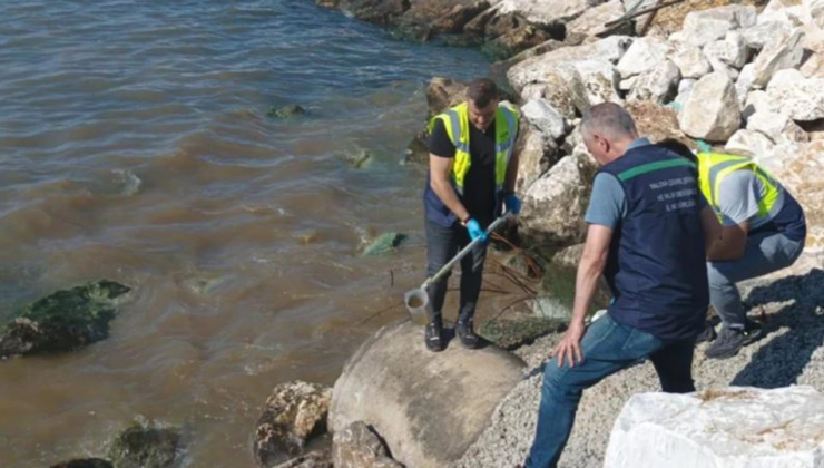 Yalova Belediyesine 1,3 milyon TL'lik çevre cezası
