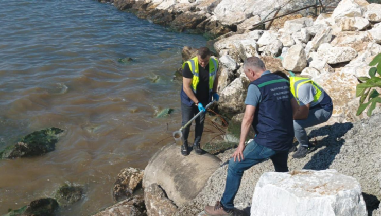 Yalova Belediyesi'ne 1,3 milyon lira çevre cezası
