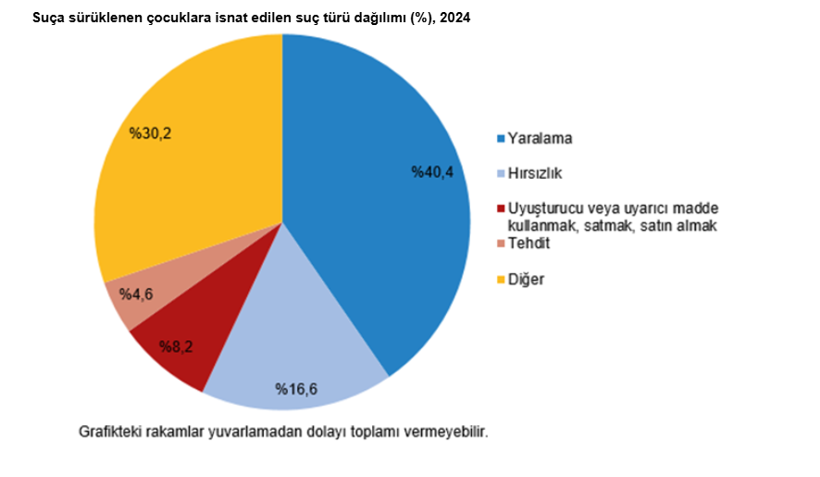 Türkiye'de çocukların karıştığı olay sayısı 2024'te arttı - Resim : 2