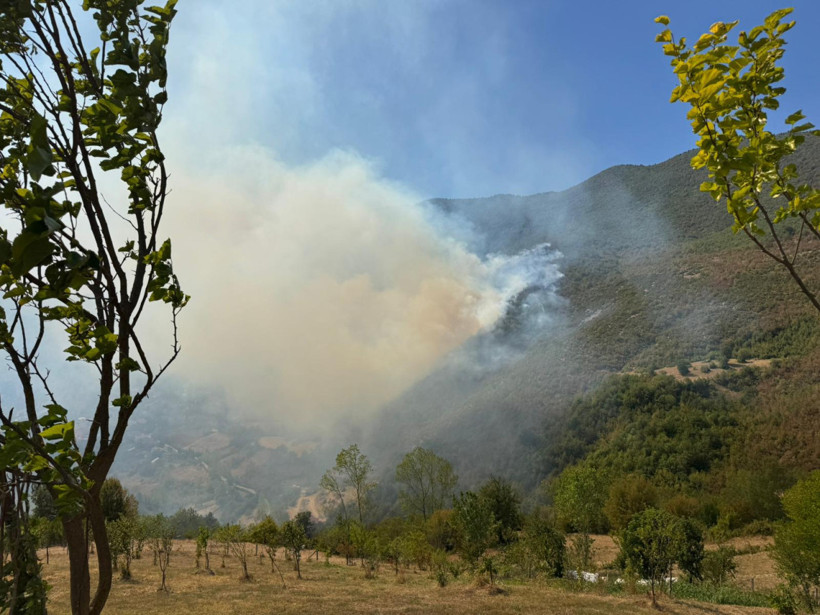 Bartın'da orman yangını! Havadan ve karadan müdahale sürüyor - Resim : 1
