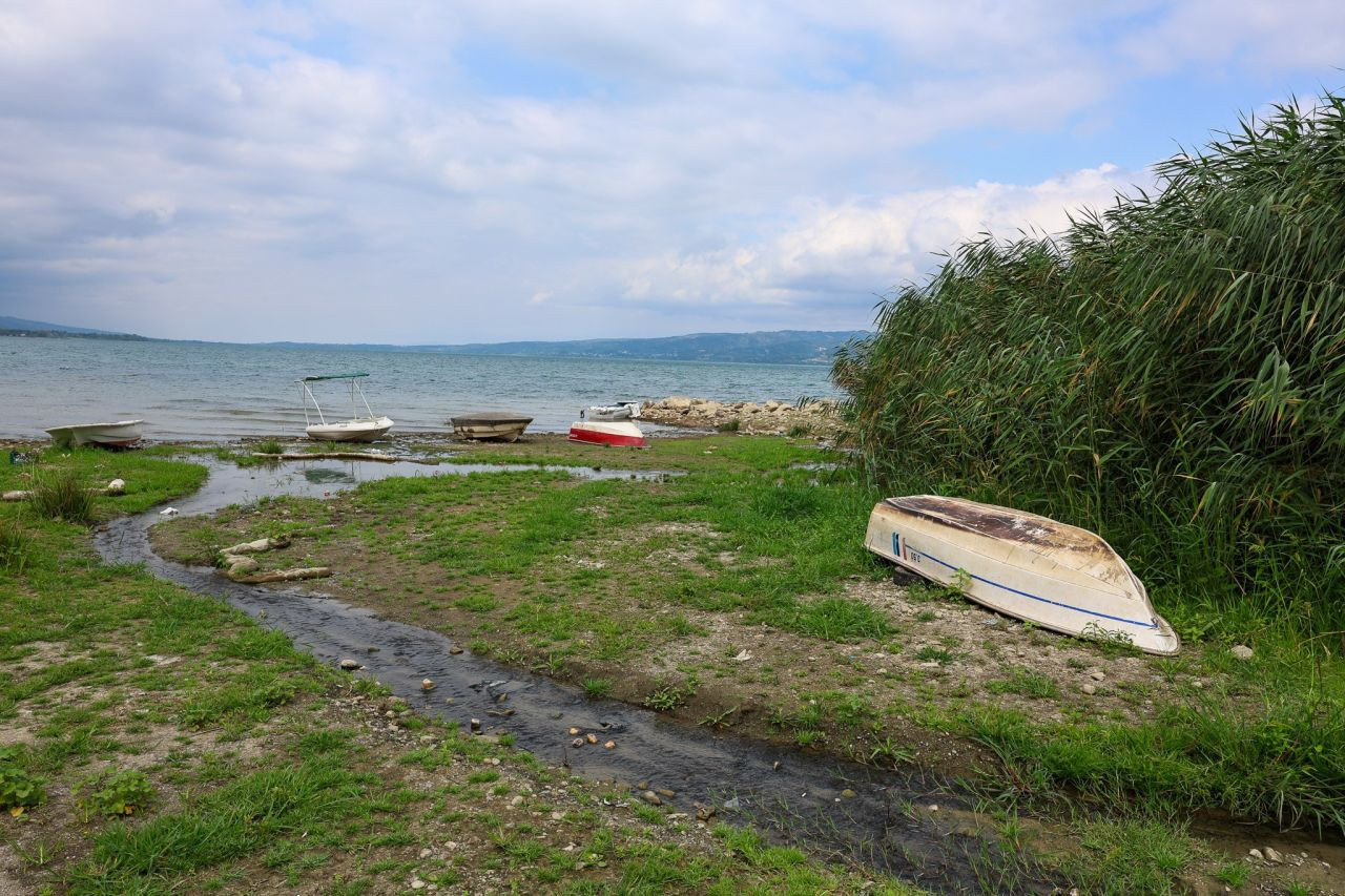 Sapanca Gölü'nde tehlike çanları çalıyor - Resim: 1