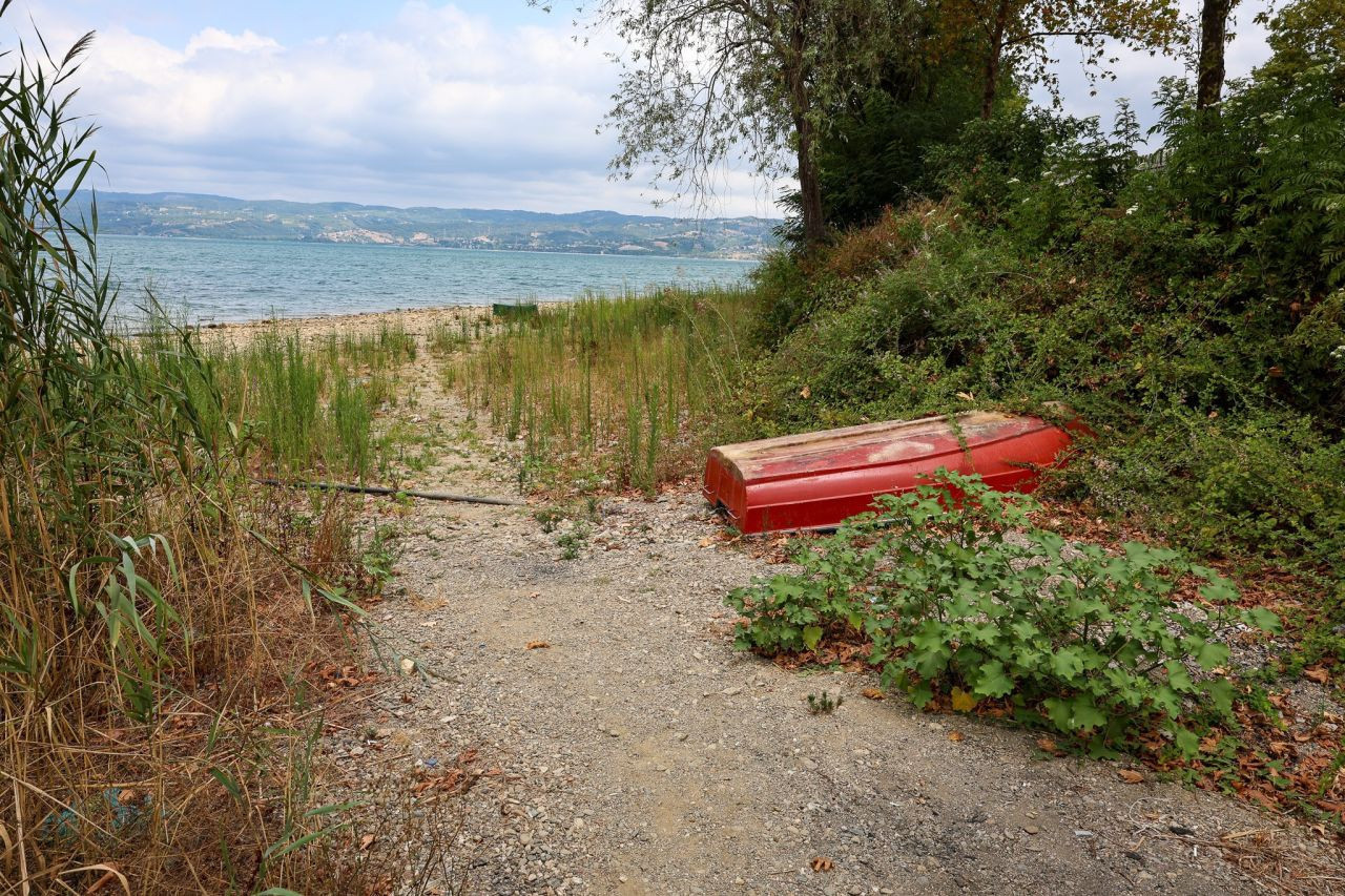 Sapanca Gölü'nde tehlike çanları çalıyor - Resim: 6