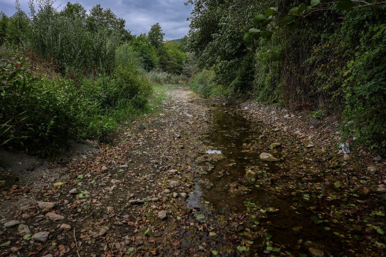 Sapanca Gölü'nde tehlike çanları çalıyor - Resim: 10