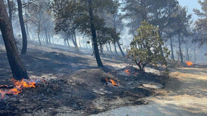Çanakkale’deki yangın büyüyor: Evler ve araçlar yandı, 77 kişi hastaneye kaldırıldı - Resim : 3