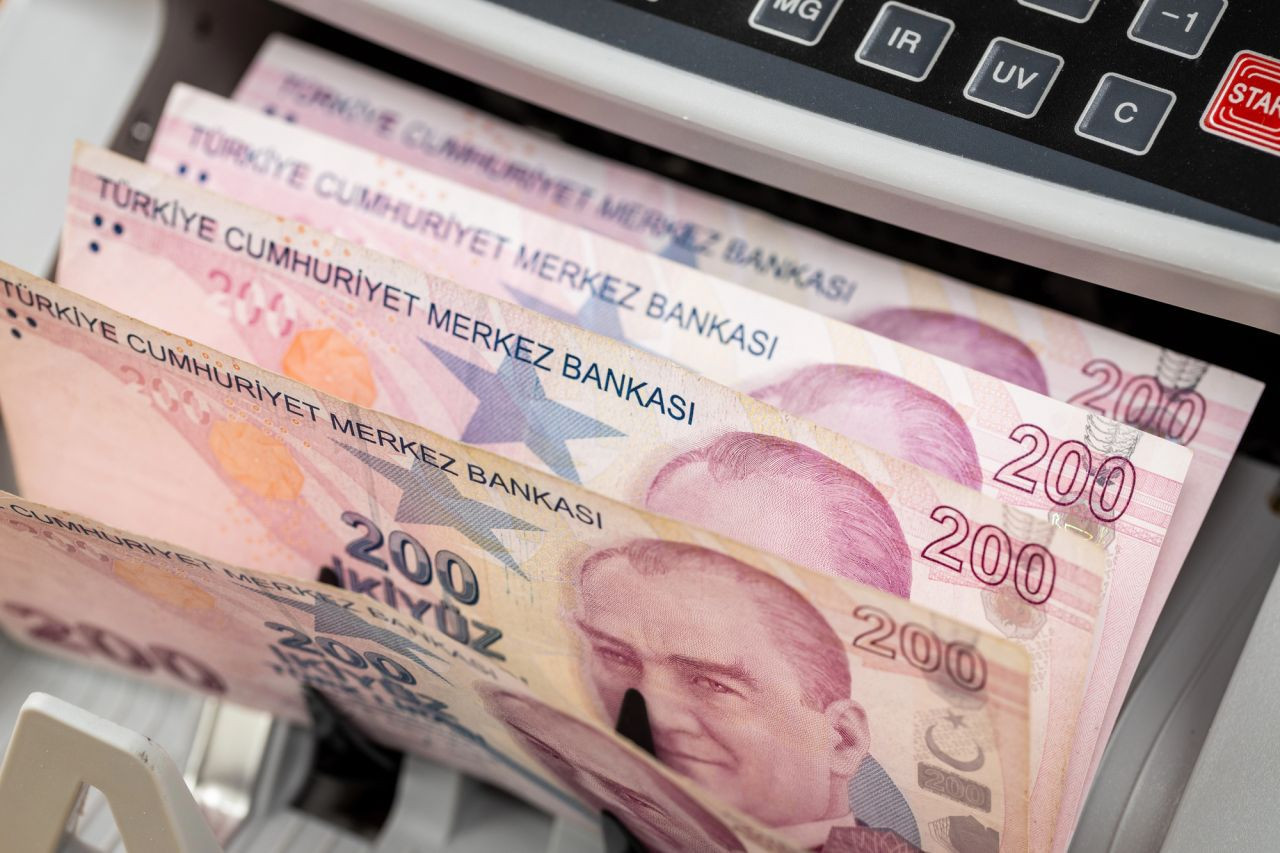 Asgari ücrete ocak zammı şimdi gelse ne olur? - Resim: 16
