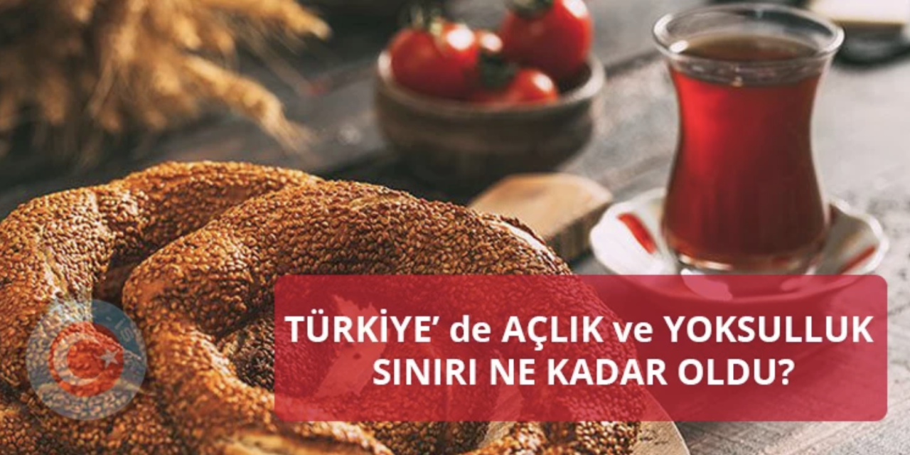 Asgari ücrete ocak zammı şimdi gelse ne olur? - Resim: 12
