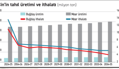 Çin’in tahıl iştahı azalıyor küresel dengeler değişiyor