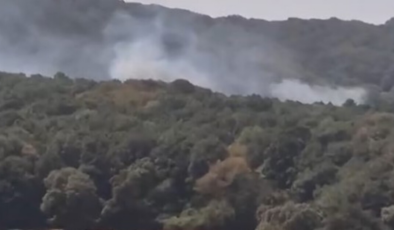 İstanbul'da orman yangını!