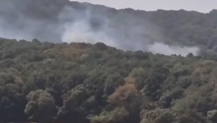 İstanbul'da orman yangını!