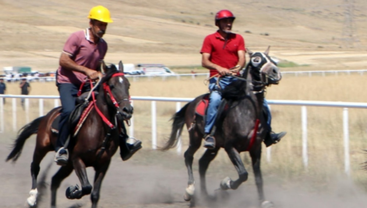 Erzurum'da 'Rahvan At'lar tozu dumana kattı