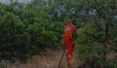 Bingöl'deki orman yangını söndürüldü