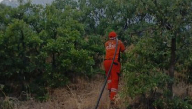 Bingöl'deki orman yangını söndürüldü