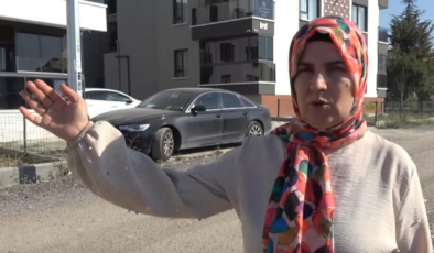 Köpeğini gezdirirken tasmasız kangalların hedefi oldu