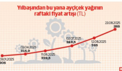 Ayçiçeği fiyatlarında tarla ve raflar ısındı
