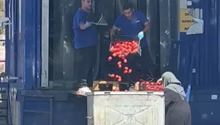 Kasa kasa domates çöpe atılırken çarpıcı görüntü!