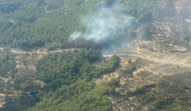 Muğla'da orman yangını: Müdahale sürüyor..