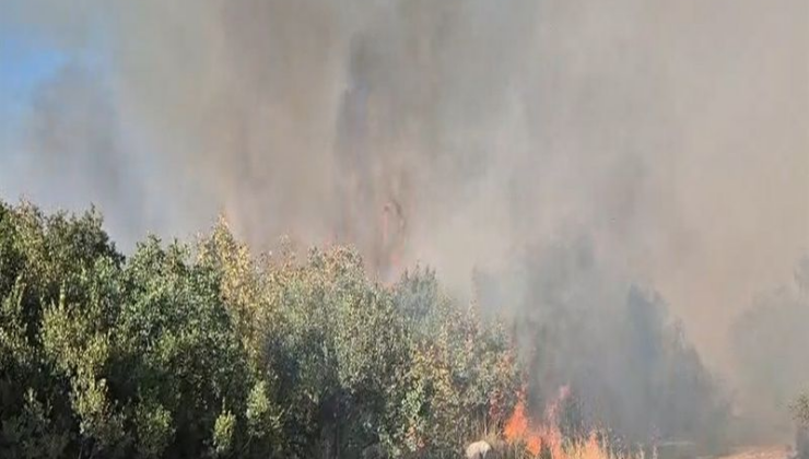 Balıkesir yangını 12 saat sonra…