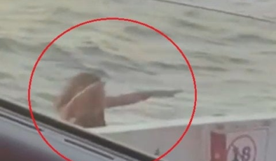 Feribot seferi kabusa döndü! İntihara kalkıştı