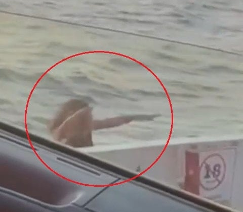 Feribot seferi kabusa döndü! İntihara kalkıştı
