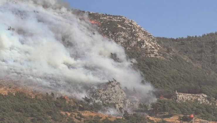 Dört ilde yangınla mücadele sürüyor! Çanakkale, Hatay ve Bursa'da orman yangını evlere yaklaştı