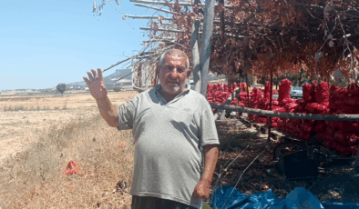 Elleriyle toplayıp yol kenarında satıyor: Tarlada 3 markette 15 TL'den kapış kapış gidiyor