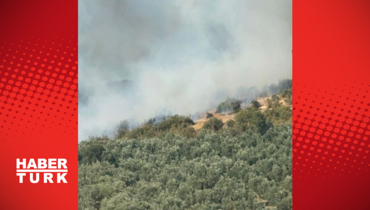 Bursa'da orman yangını