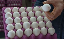 Yumurtalarda yasaklı antibiyotik tespit edildi! Yanlışlıkla market raflarına satışa konuldu