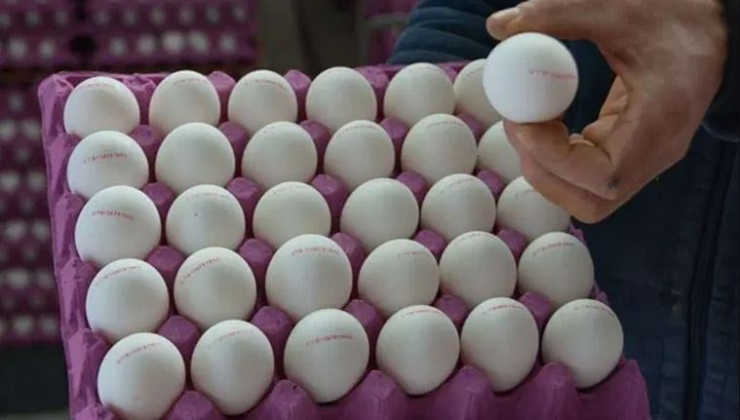 Yumurtalarda yasaklı antibiyotik tespit edildi! Yanlışlıkla market raflarına satışa konuldu