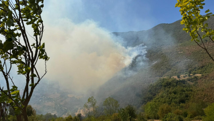 Bartın'da orman yangını! Havadan ve karadan müdahale sürüyor