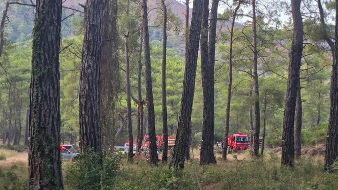Marmaris'te orman yangını