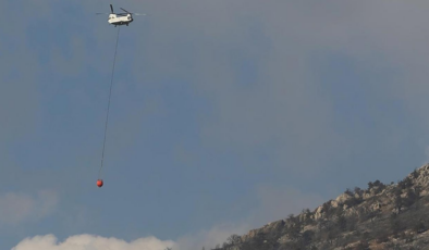 Pamukkale'de orman yangını çıktı