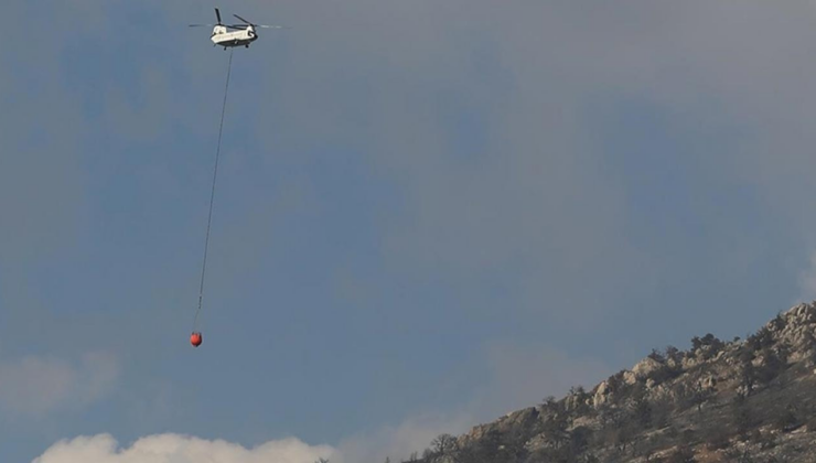 Pamukkale'de orman yangını çıktı